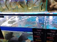 水产区-船梆煮•蒸汽海鲜·炉火烤肉(五四广场店)