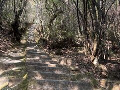 -腾冲云峰山