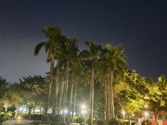 -聚龙山公园