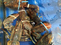 -今鲜源大酒店·中华餐饮名店(新湛路店)