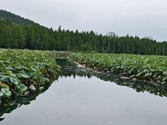 -云龙湖旅游景区