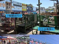 -中环花鸟鱼虫市场