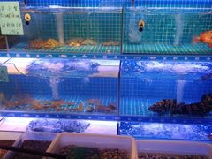 -阿毛饭店(和义路店)