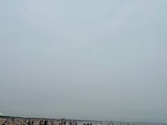 -日照海滨国家森林公园