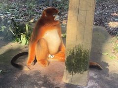 -贵州森林野生动物园