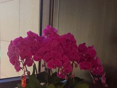 -大拙里·精致融合菜(沙湖桃源国际店)