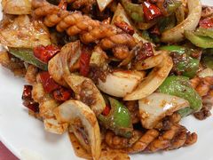 麻花回锅肉-乐乐餐厅(湘子庙街店)