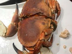 -海味当家·蒸锅海鲜(星海公园店)