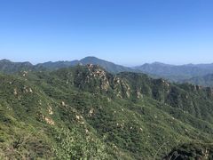 -大岭沟猕猴桃谷风景区