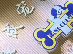 -康成宠物医院24H·CT·核磁共振
