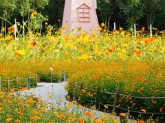 -顺峰山公园