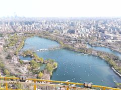 -中央广播电视塔