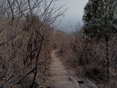 -北京十三陵国家森林公园蟒山景区