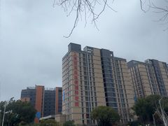 -上海浦东由由信福养老院