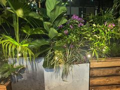 -木屋烧烤(坂田天安云谷店)