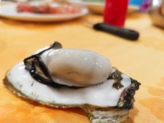 -蚝专家(北滘店)