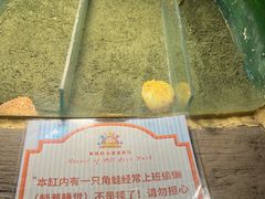 -泉城欧乐堡海洋极地世界