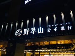门面-野萃山·潮汕厚果汁(十亩地店)