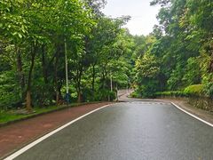 -火炉山森林公园