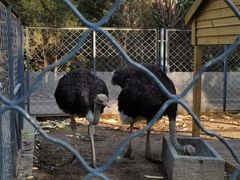 -长白岛森林公园