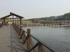 -溱湖国家湿地公园