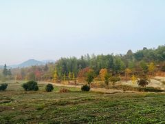 -塔川景区