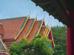 -报恩禅寺