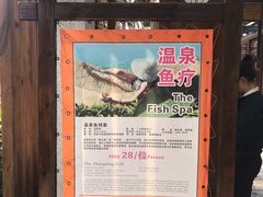 -张家港金凤凰度假村温泉