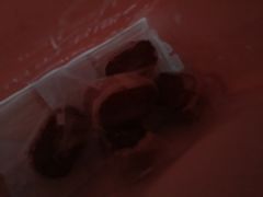 -好利来(团结湖店)