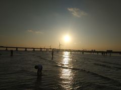 -南汇新城海滩