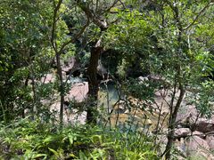 -广州白江湖森林公园