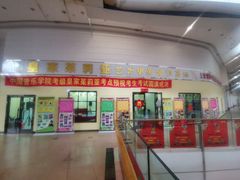 -皇家茱莉亚艺术明星训练基地