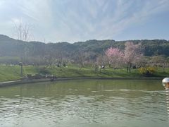 -苏州上方山国家森林公园