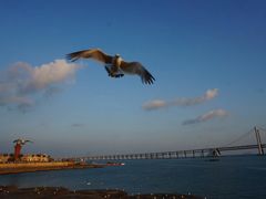 -海味当家(西安路店)