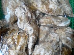 -望海潮海鲜店 特色家常菜(在海一方店)