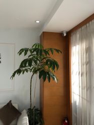-HEYAN荷妍专业脱毛连锁机构