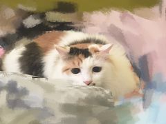 -芭比堂动物医院广州顽皮分院