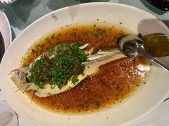 清蒸多宝鱼-苏浙汇(朝外店)