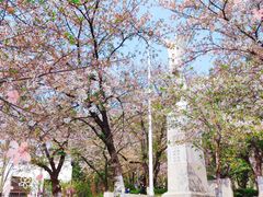 -武汉大学-樱园