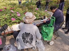 -迎泽公园