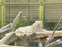-上海野生动物园