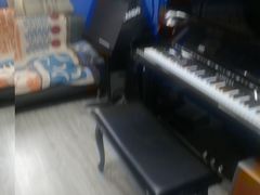 -缪斯琴行英皇小提琴.钢琴.吉他(张江店)