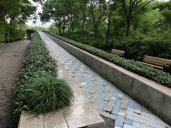 -苏州河梦清园环保主题公园