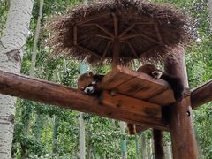 -北京野生动物园