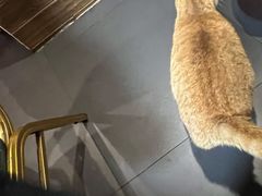 -杰J.w.m深夜食堂 厚杰居酒屋(淮海街商业街店)