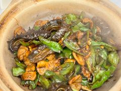 螺丝椒海参炒肉-品海楼·大连海胆锅贴馆(东港店)