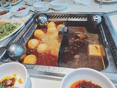 鸳鸯锅-海底捞火锅(大学路新象城店)