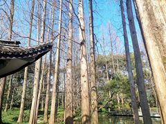-杭州植物园