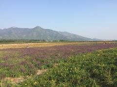 -北京红螺园饭店