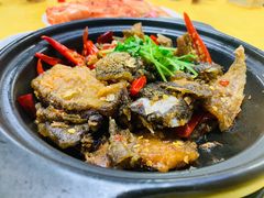 杂鱼啫啫煲-老明馨潮汕大排档